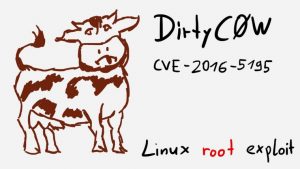 dirty-cow-the-most-dangerous-linux-bug-patched