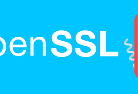 庆祝OpenSSL诞生20周年-SSL信息
