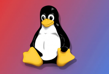 X.Org Server新的权限升级缺陷将影响大多数Linux版本-SSL信息